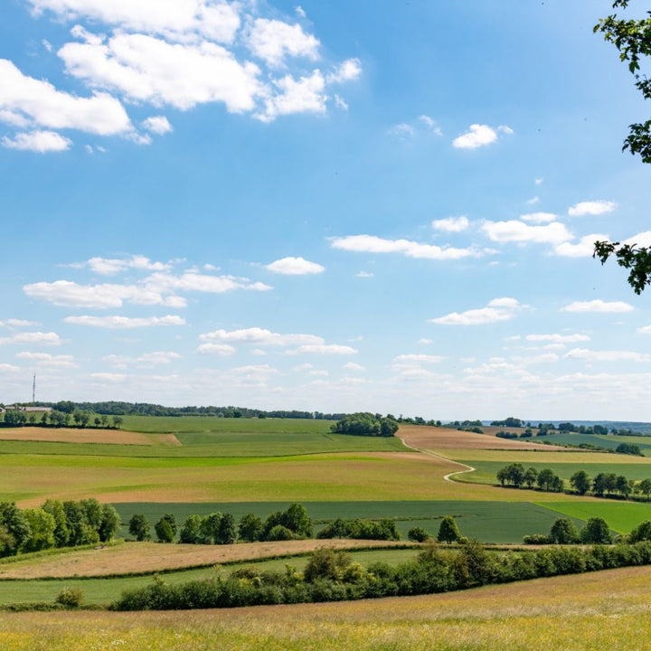 Zuid-limburg landschap