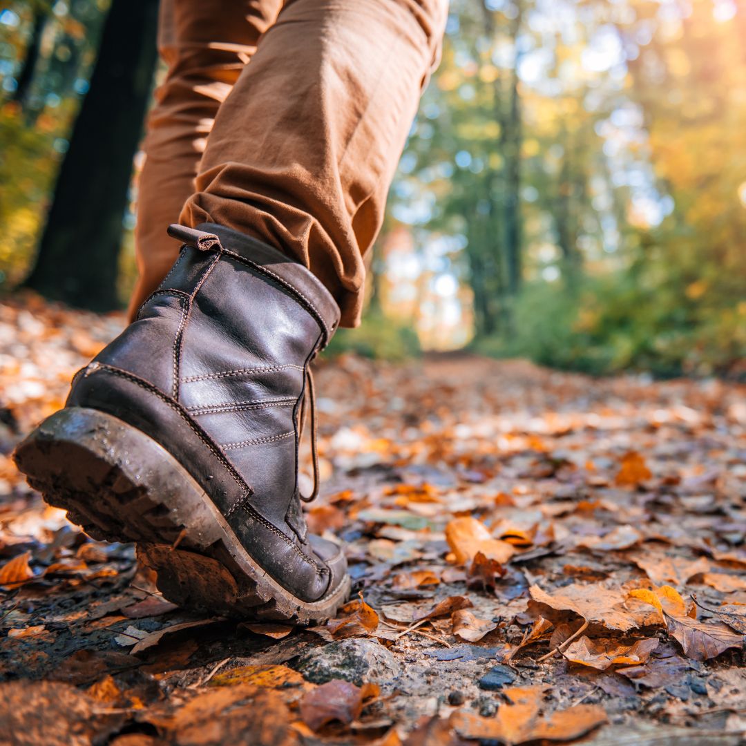Bourgondische Winter Wandeling Roerdalen