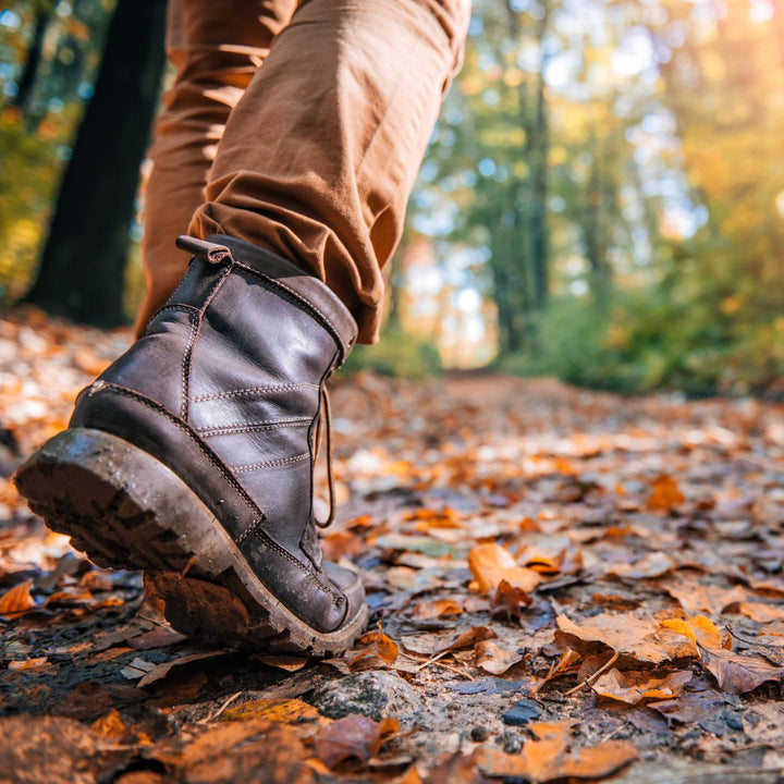 Bourgondische Winter Wandeling Roerdalen