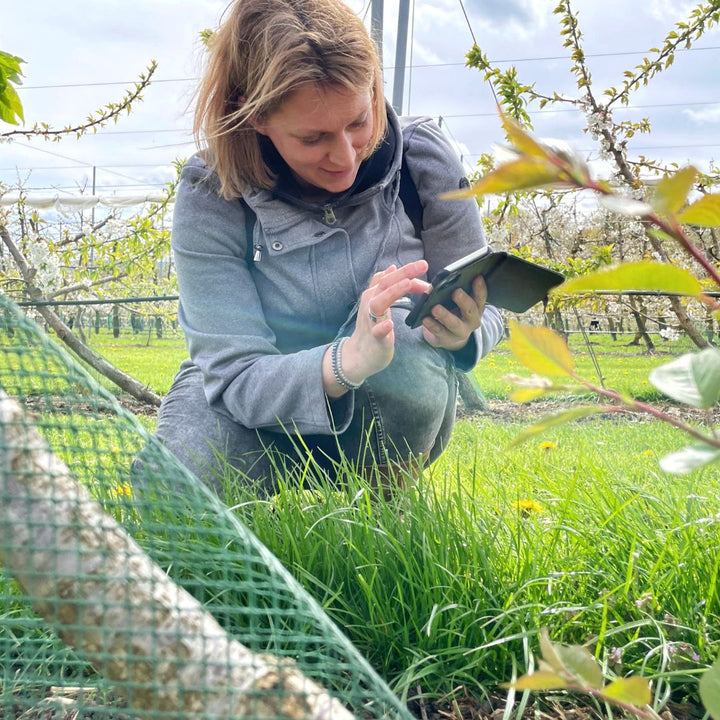 smartphone fotoworkshop