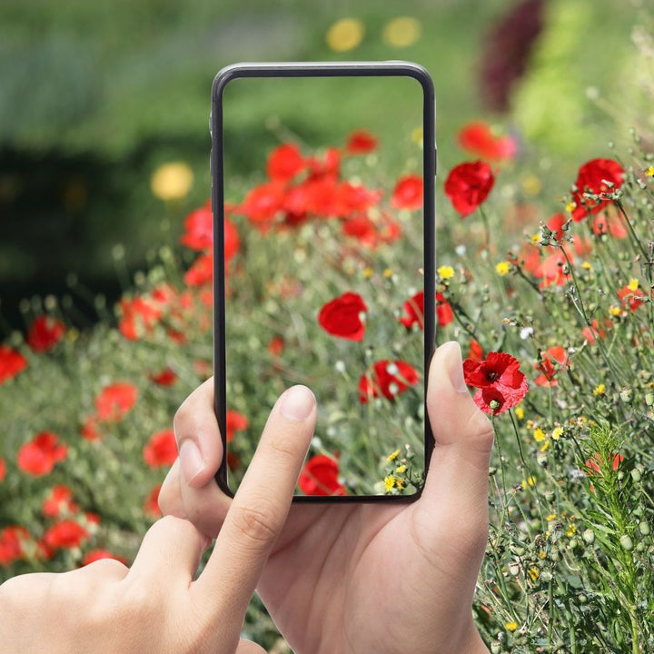 Smartphone fotoworkshop Zuid-Limburg