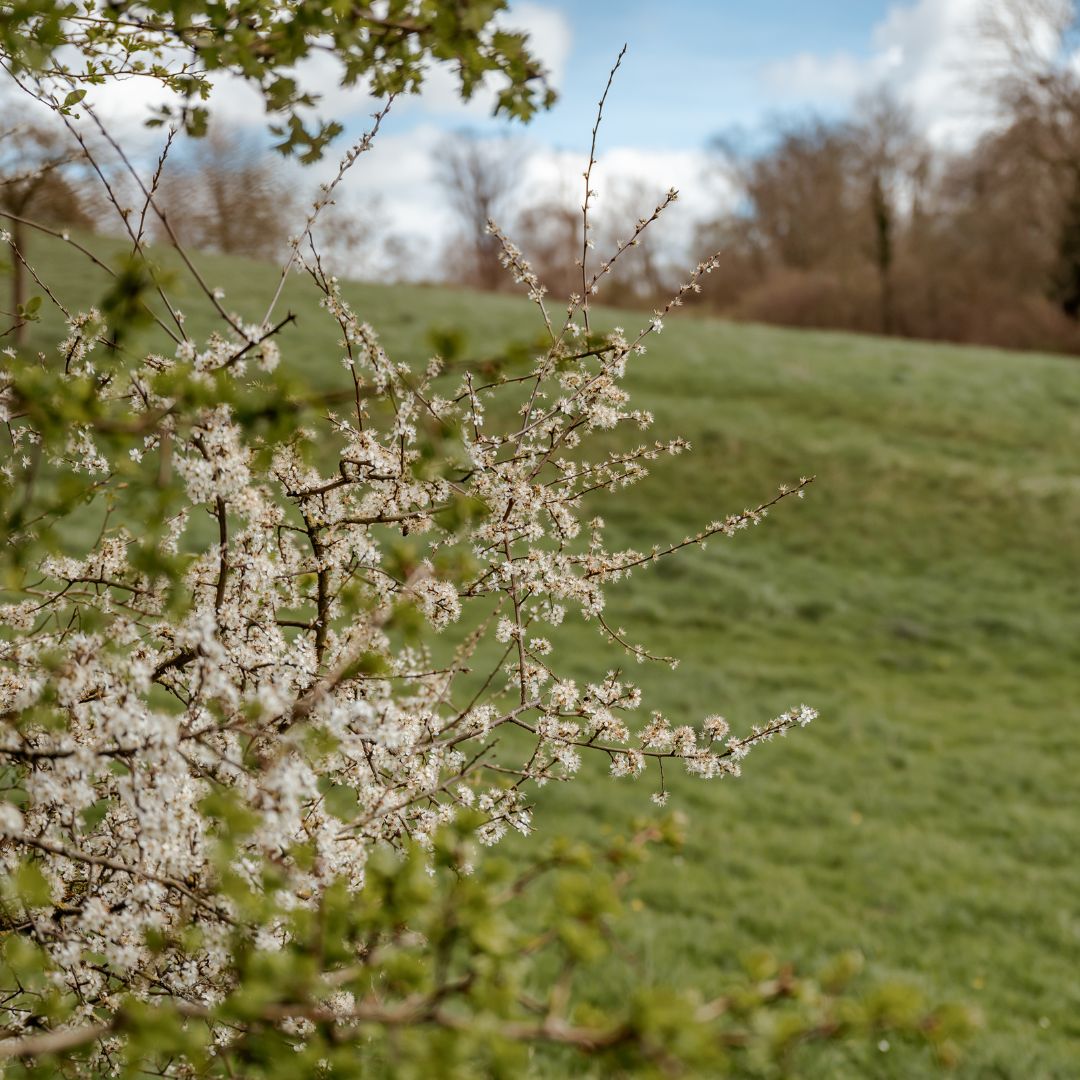 Smartphone fotoworkshop bij Natuurboerderij de Hofkamer