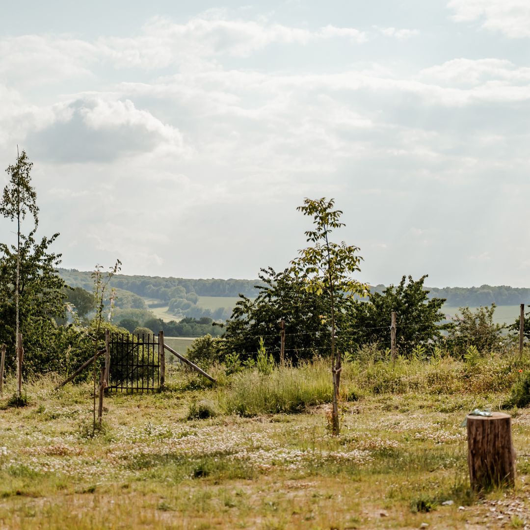 Smartphone fotoworkshop bij Natuurboerderij de Hofkamer