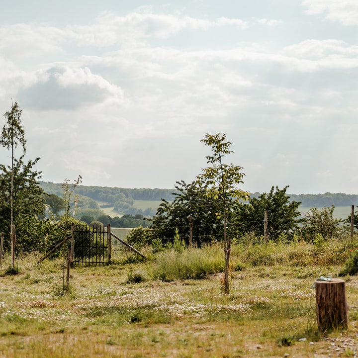 Smartphone fotoworkshop bij Natuurboerderij de Hofkamer