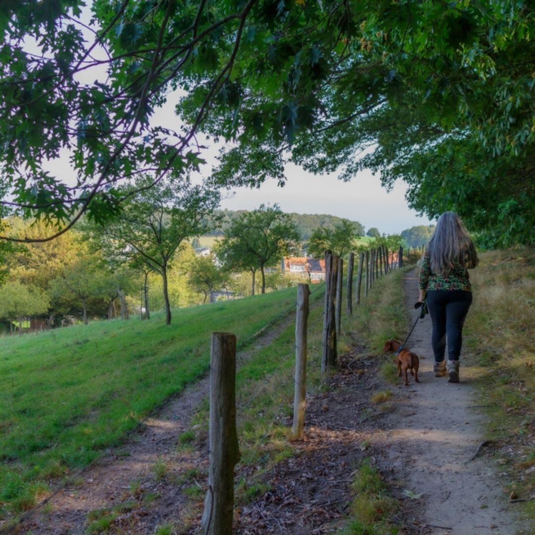 Wandelen in Vijlen