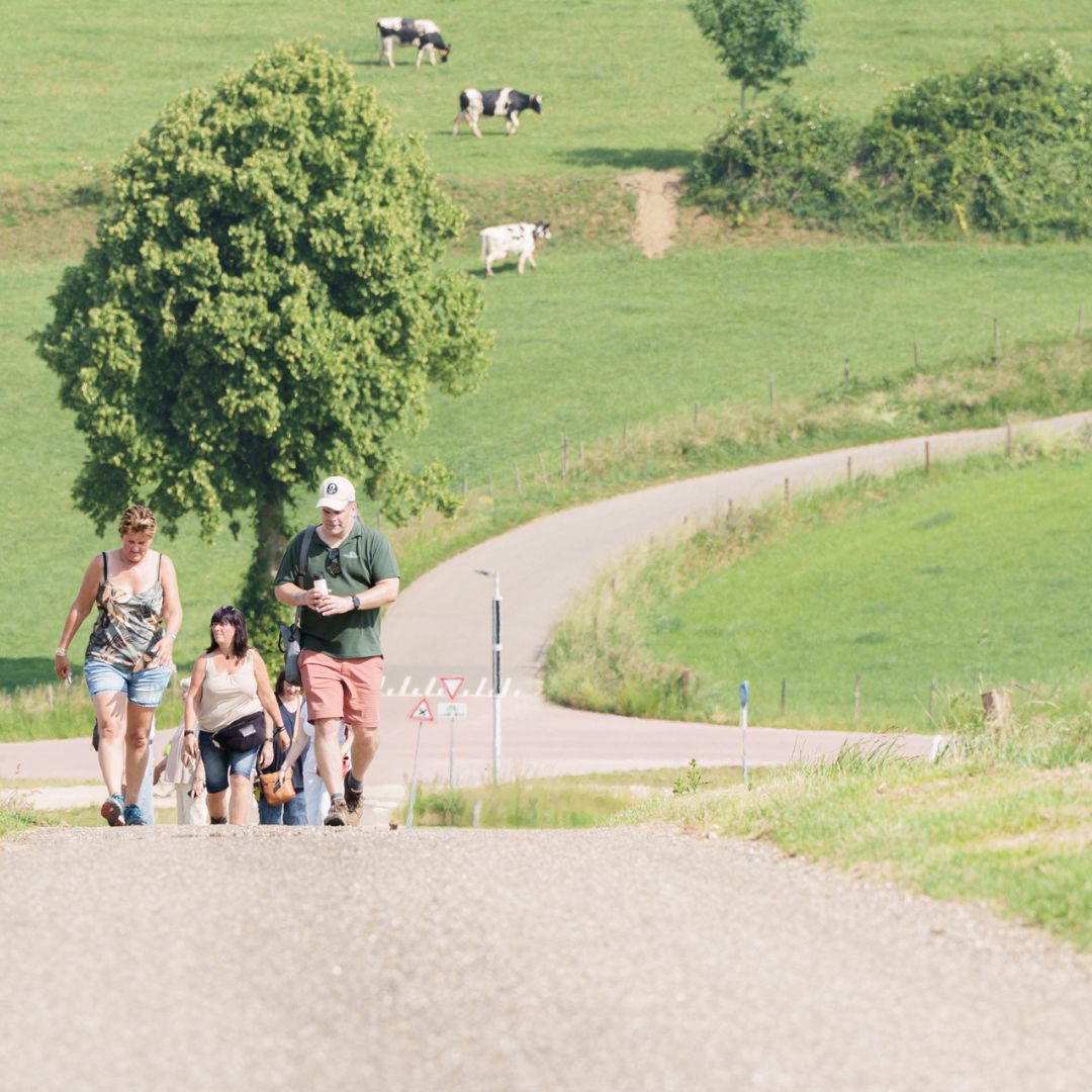 Foto Safari in het Land van Kalk bij Camping La Dolce Vita