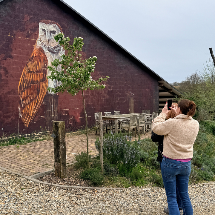 Smartphone Fotoworkshop bij Natuurboerderij de Hofkamer