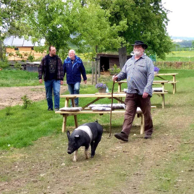 Wei met picknicktafels, 3 mensen en 1 varken