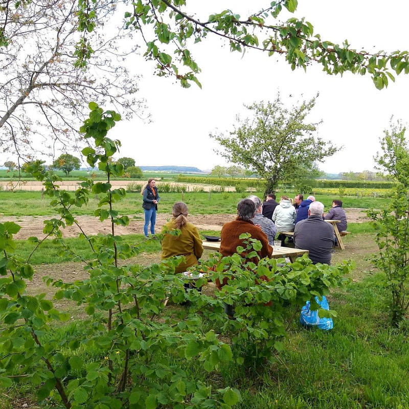 wei met picknicktafels en mensen