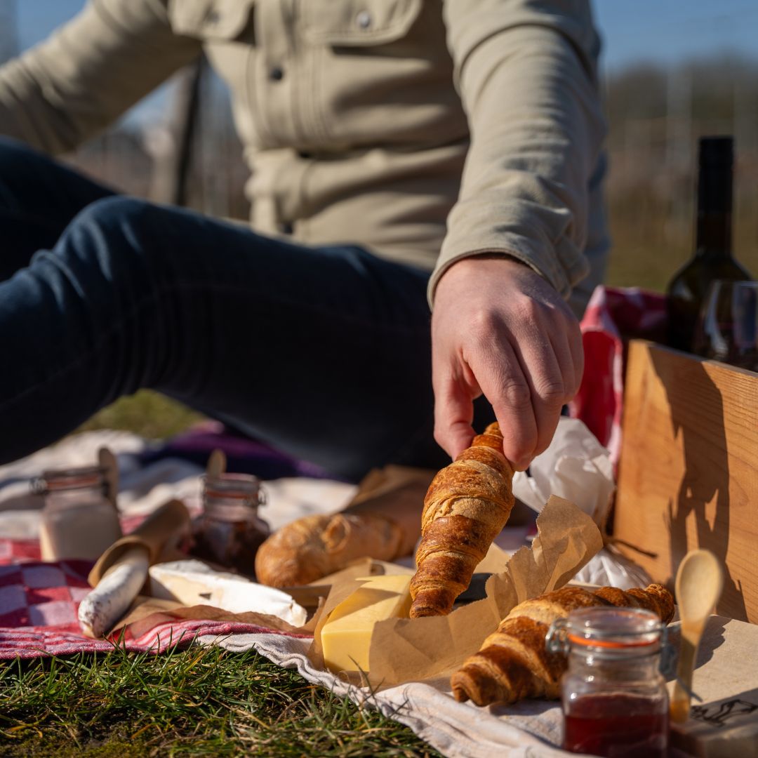 Picknick bij Wijngoed Vinea Cura