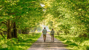 Wandelaars in bos