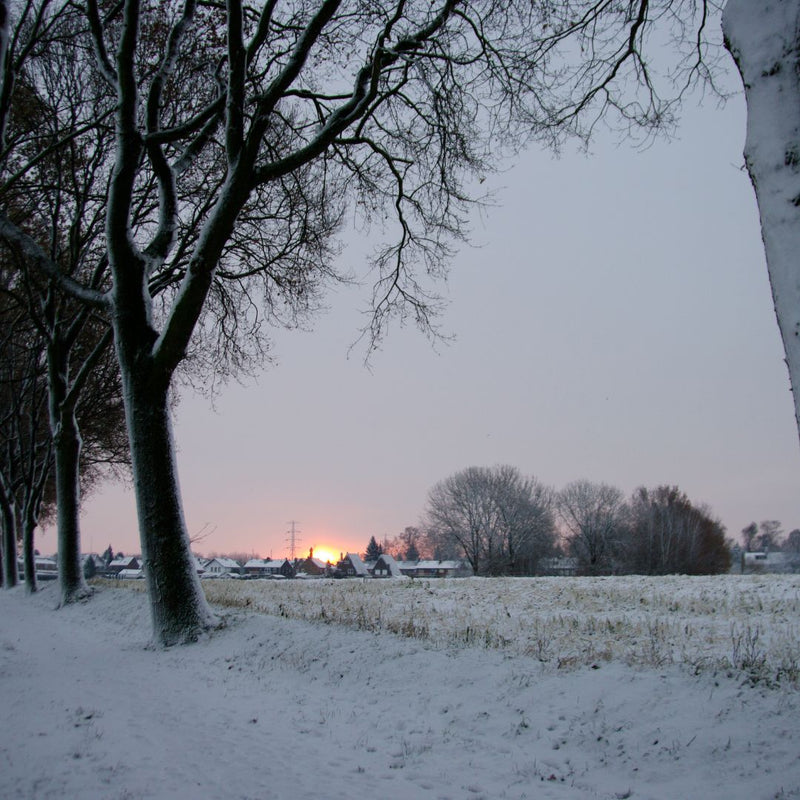 Winterlandschap