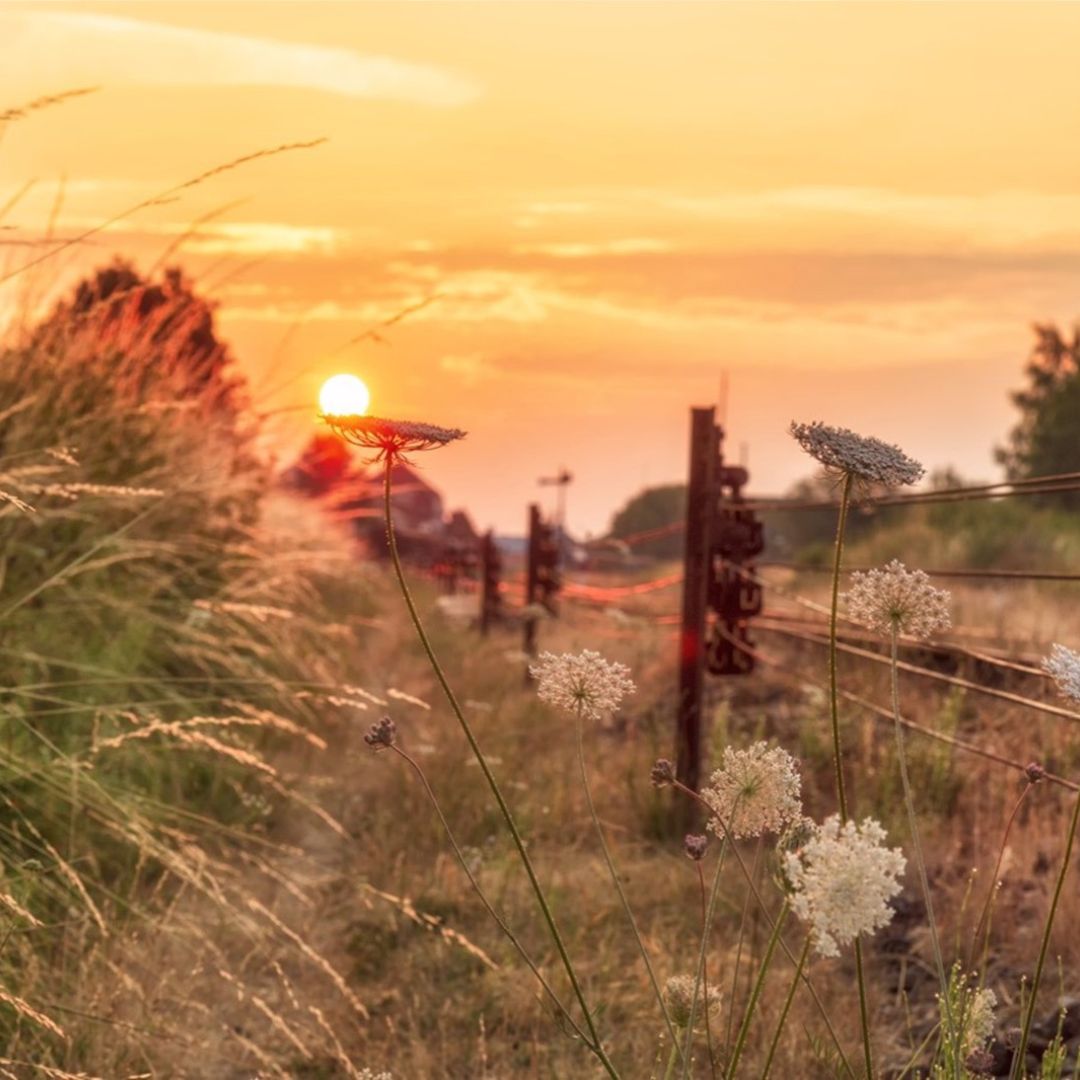 Wandeling Land van Kalk