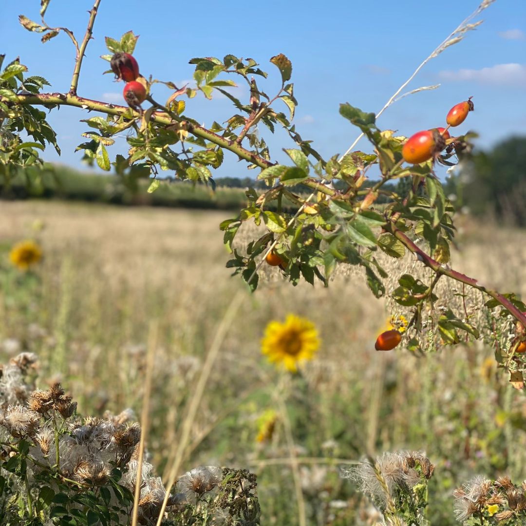 Wandeling Land van Kalk