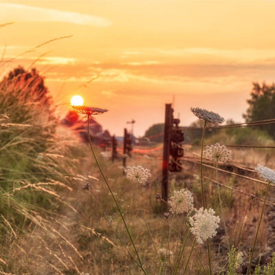 zonsondergang bij een treinspoor