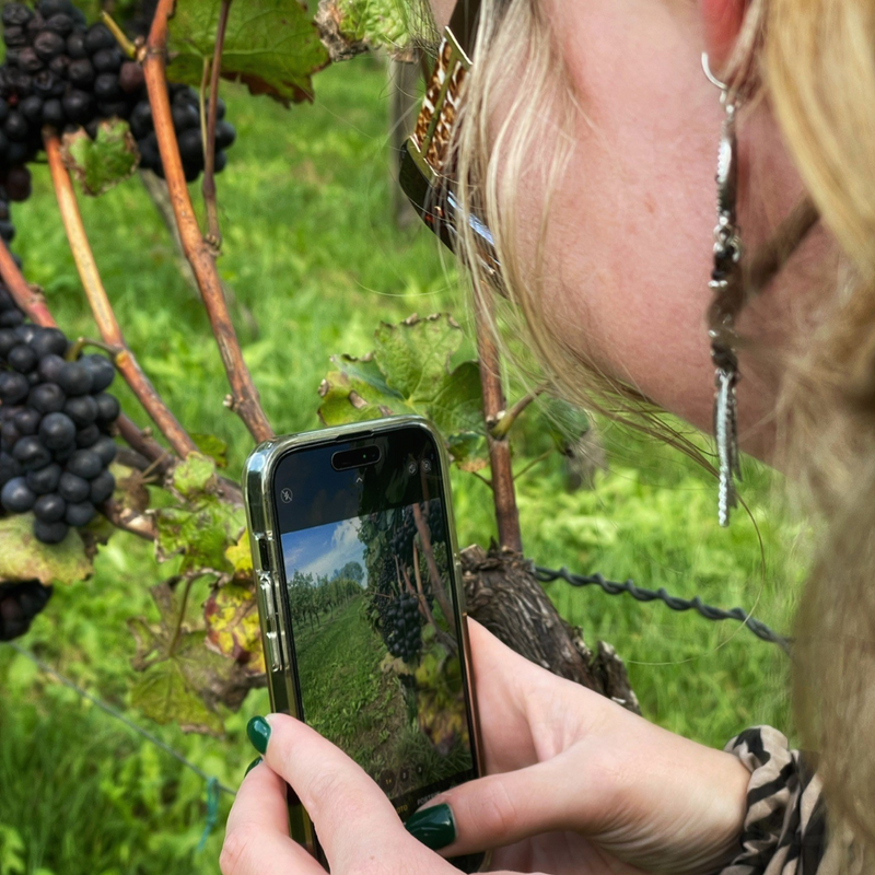 Workshop Smartphone fotografie &
