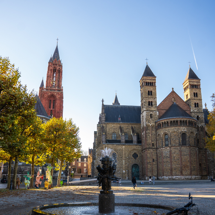2-gangen keuzelunch of -diner bij Gérard in Maastricht