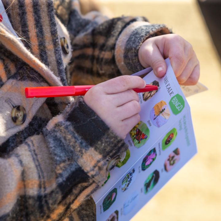 Kids Safari Land van Kalk