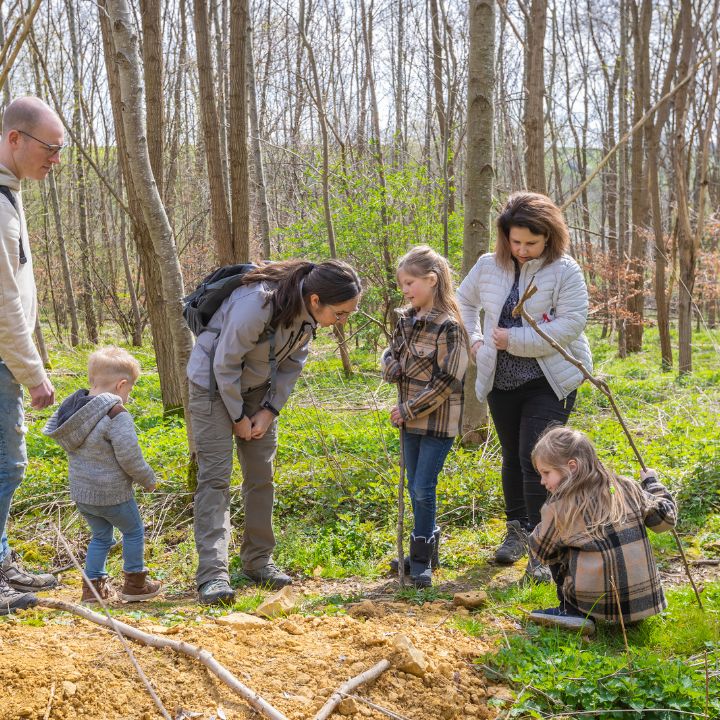 Kids Safari in het Land van Kalk