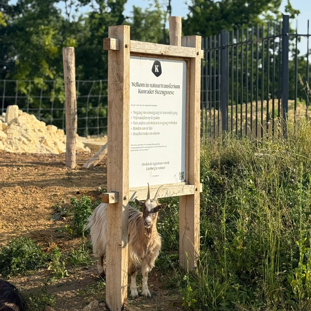Kids Safari voor avontuurlijke gezinnen