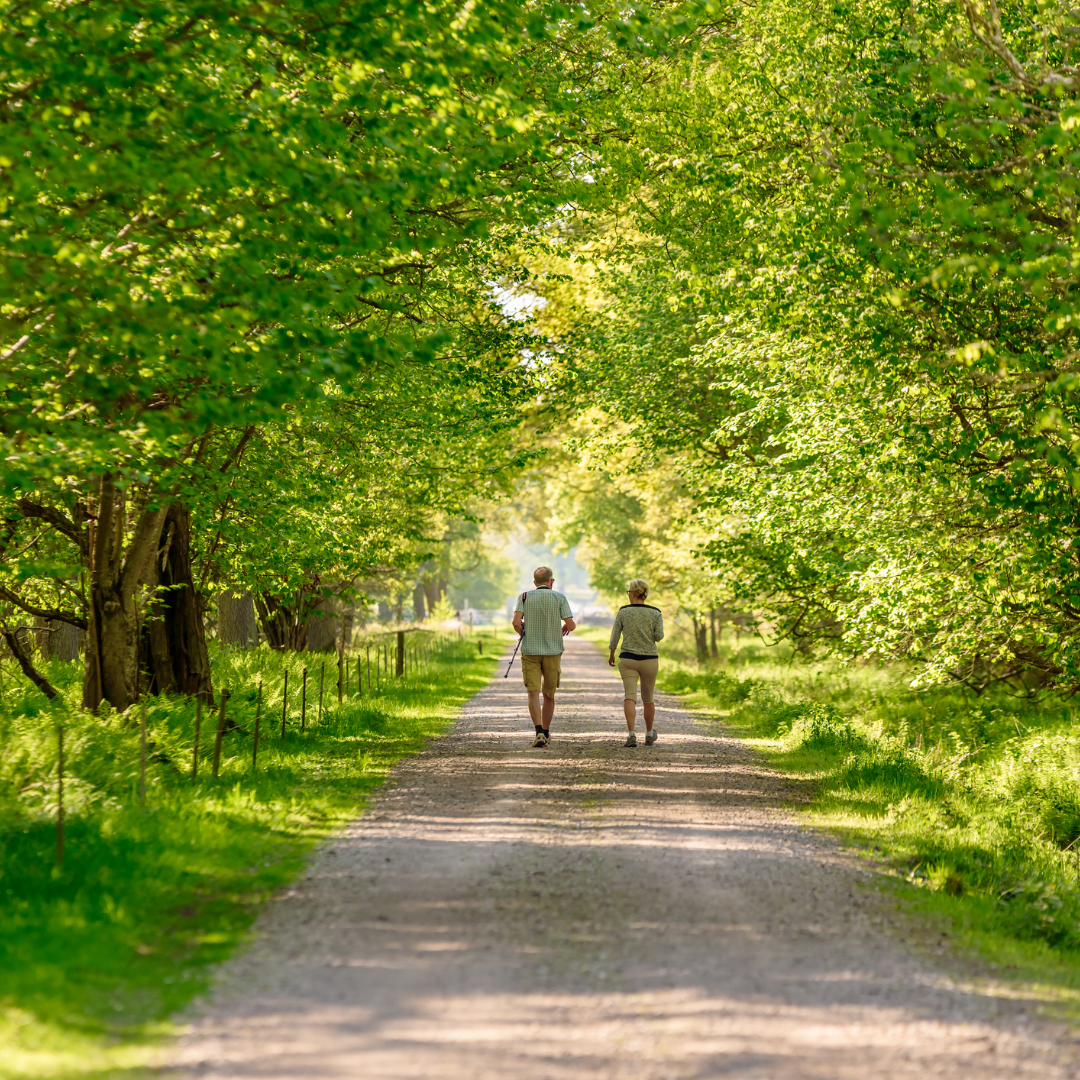 wandelen in Echt