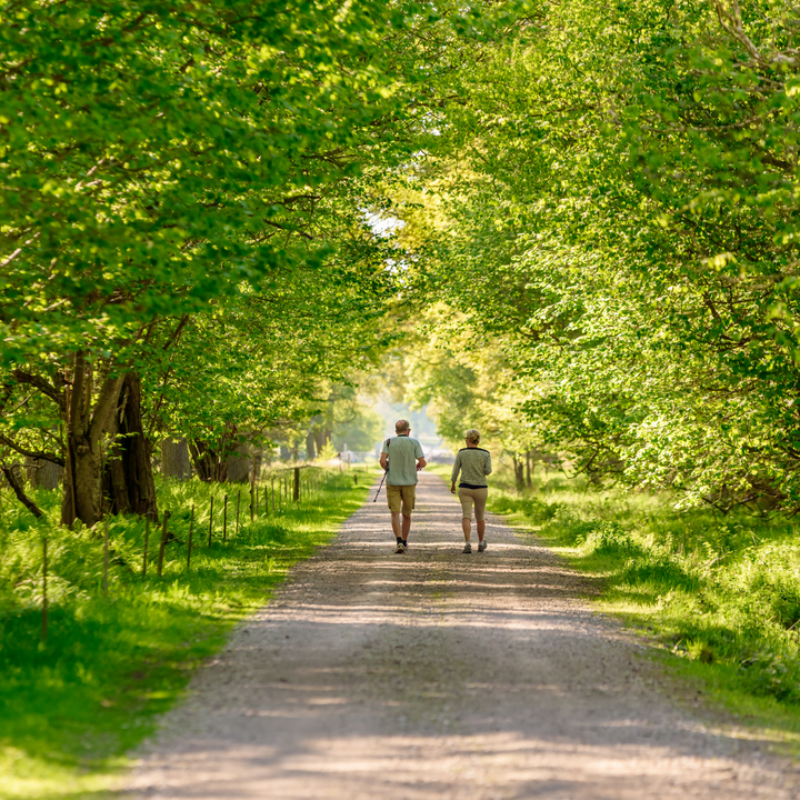 wandelen in Echt
