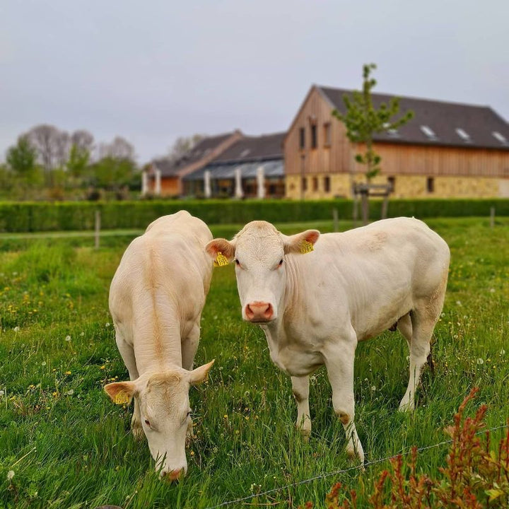 Stap & Hap de Oude Pastorie in Beek