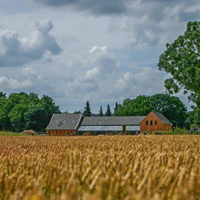 Stap & Hap Vrouwenbosch
