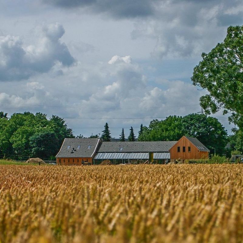 Stap & Hap Vrouwenbosch