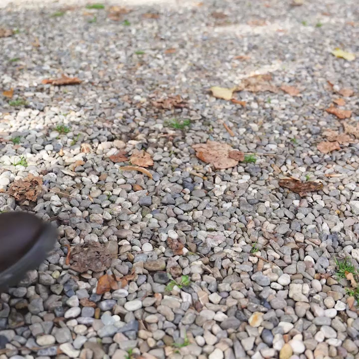 Stap (of trap) & Hap Wittem