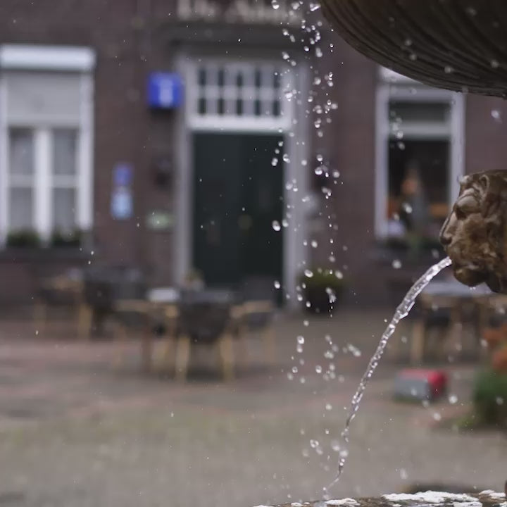 Stap & Hap de Abdij van Horn