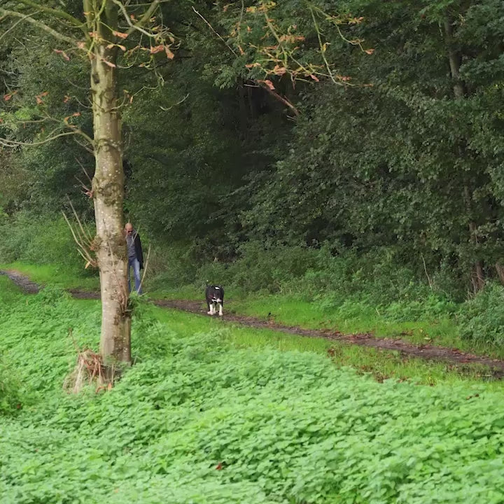 Stap & Hap bij Don's Dike Daniker in Sweikhuizen