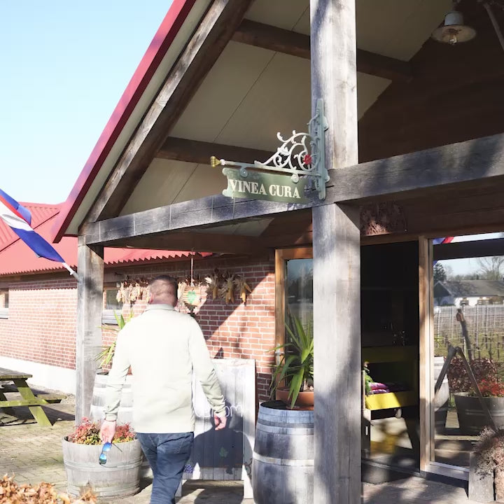 Picknicken in de wijngaard van Wijngoed Vinea Cura in Helden