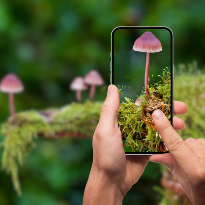 Workshop Smartphone fotografie 'Herfst' bij Museum de Schat van Simpelveld