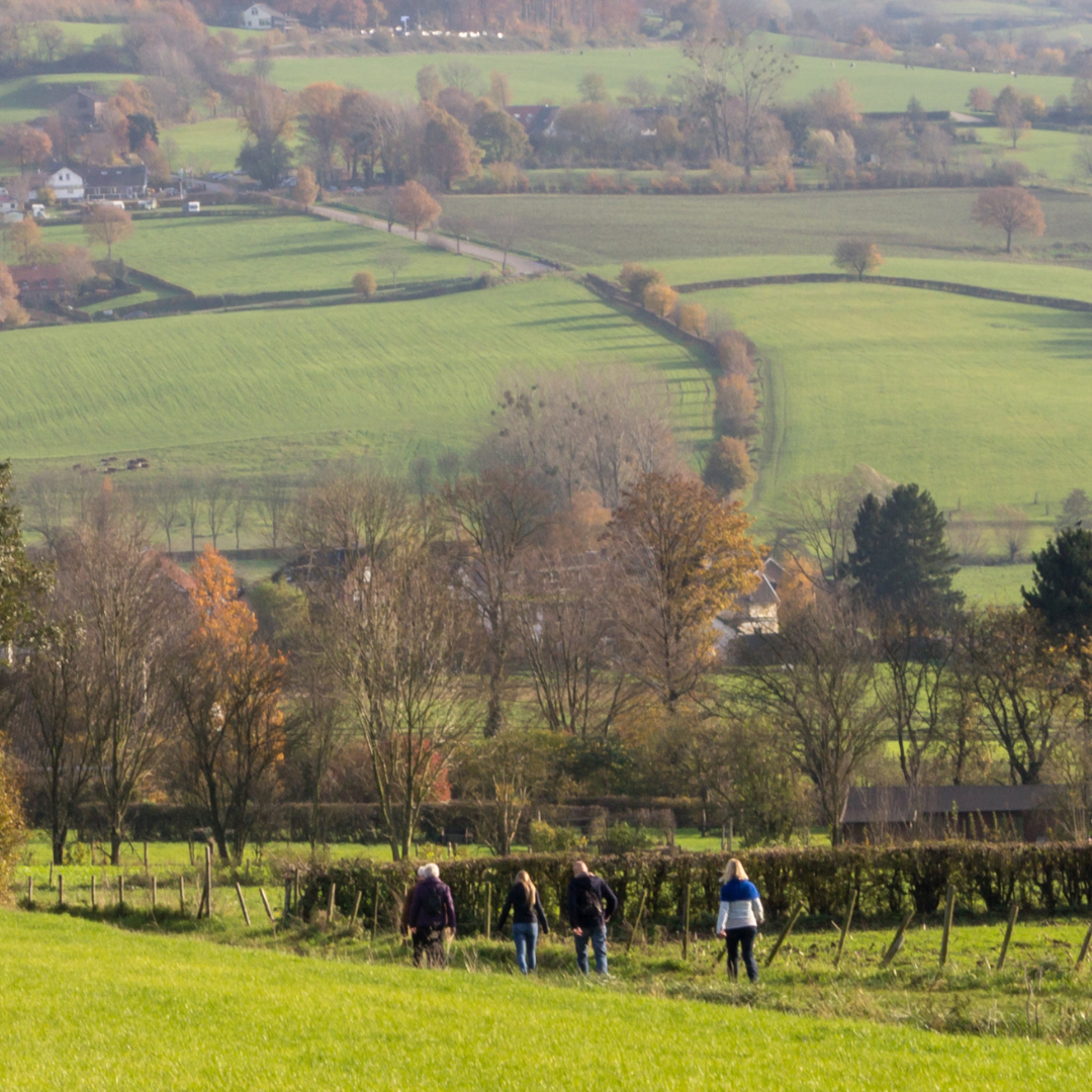 Stap & Hap De Zeute Aardbei in Noorbeek