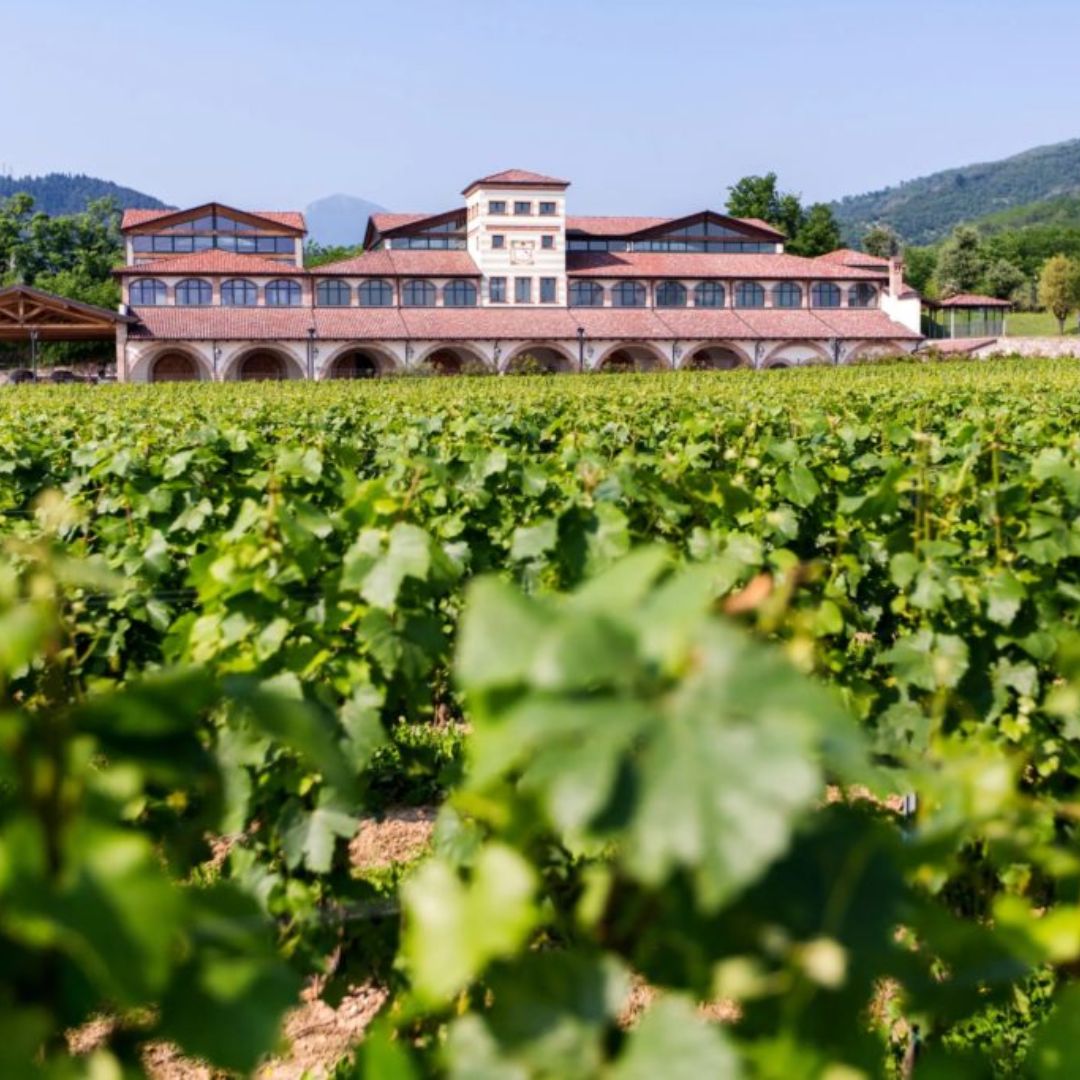 Wijnhuis Franciacorta