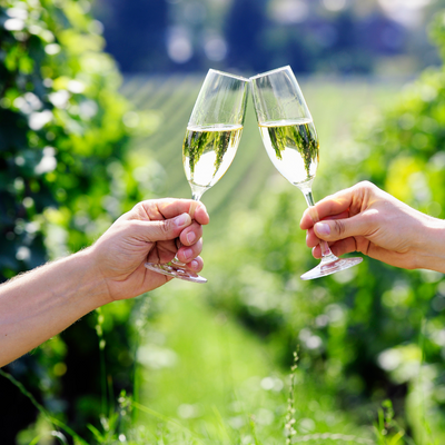 Wijnwandeling Bubbels & Amuses van Winestyle & Winselerhof