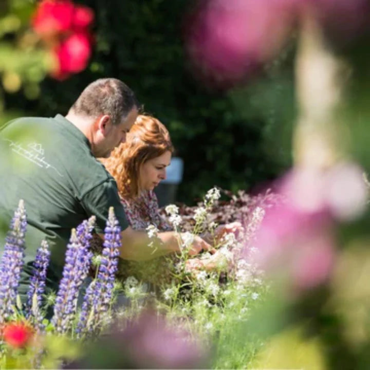 Workshop Smartphone fotografie &