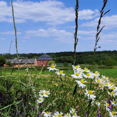 Dé Wijnwandeling | Twee culinaire hotspots
