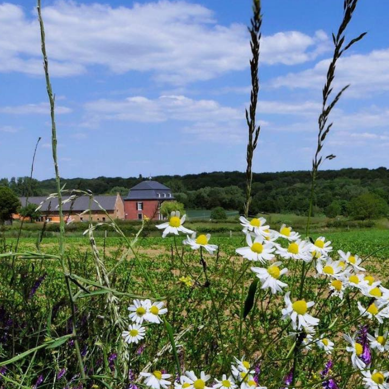 Dé Wijnwandeling | Twee culinaire hotspots