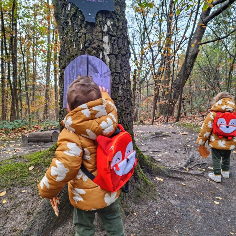 Gezinsuitje Schutterspark | kabouterwandeling, kinderboerderij en lunch