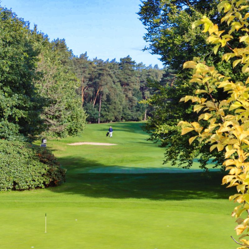 Par 3 Golfarrangement bij De Herkenbosche
