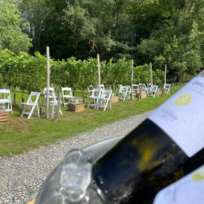 Dé Wijnwandeling | Twee culinaire hotspots