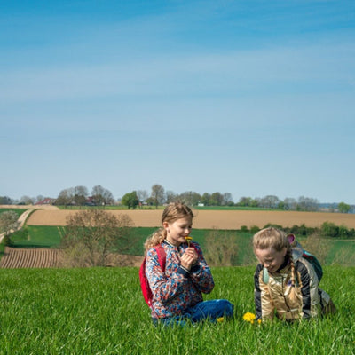 Kids Safari in het Land van Kalk
