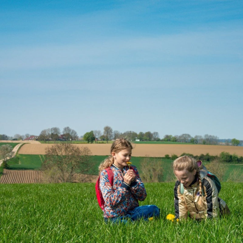 Kids Safari in het Land van Kalk