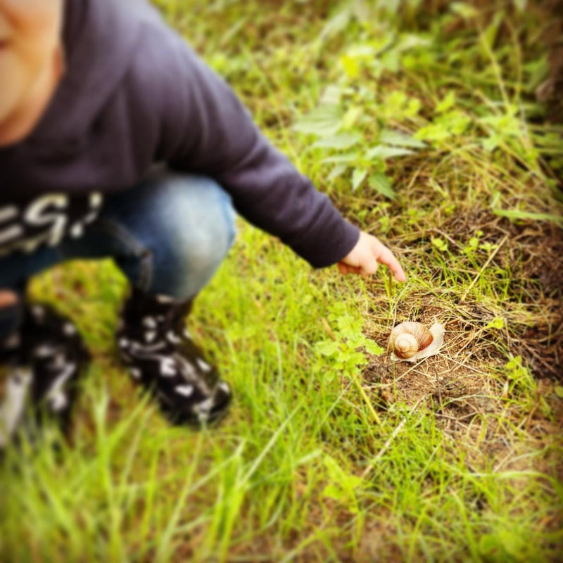 Kids Safari in het Land van Kalk