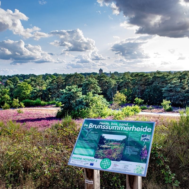 Stap (of trap) & Hap Brunssummerheide